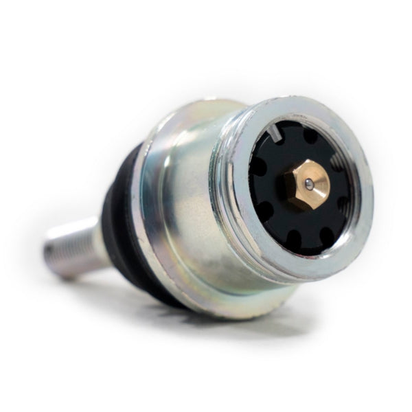 BALL JOINT HD LWR C-AM