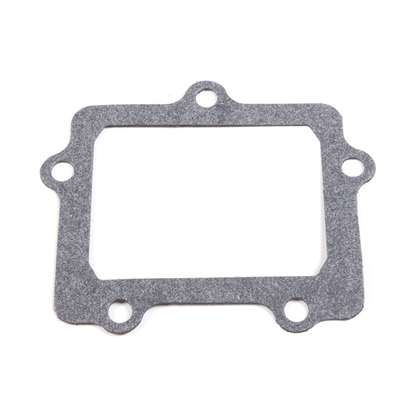 PETAL GASKET KIT VFORCE3 YAM