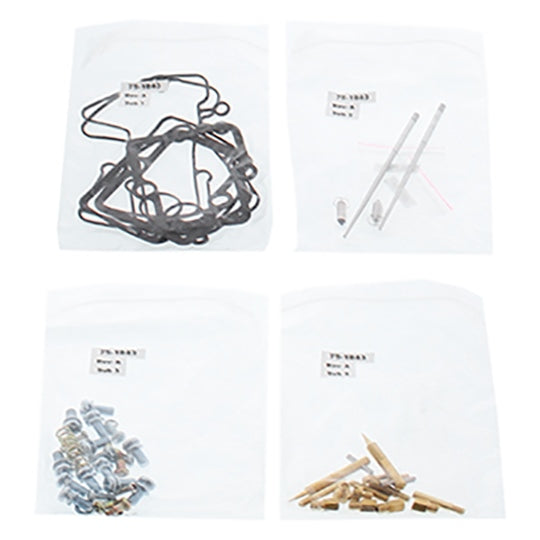 CARBURETOR REBUILD KIT POL