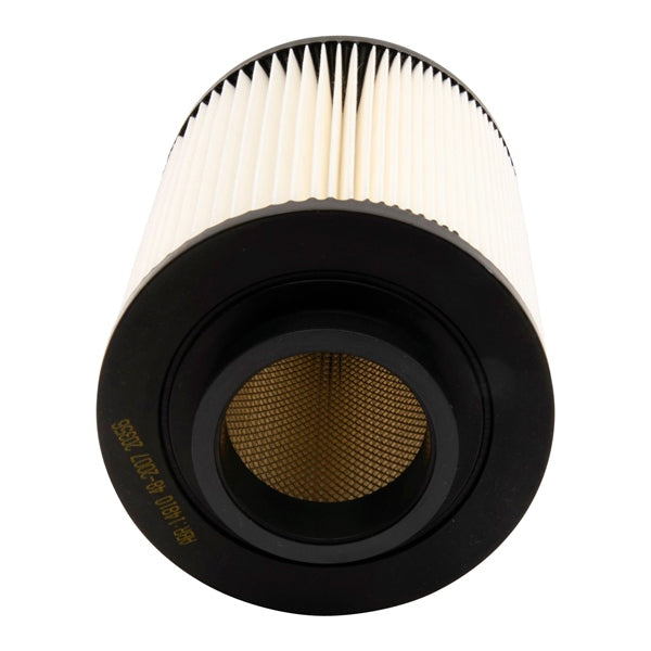 AIR FILTER POL ALL BALLS