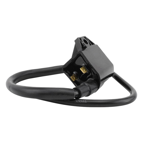 IGNITION COIL EXT POL KIMPEXHD