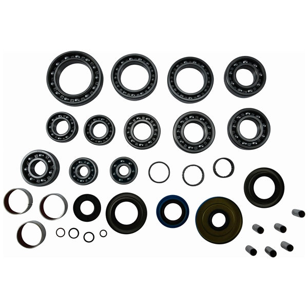 DIFFERENTIAL BEARING/SEAL KIT POL
