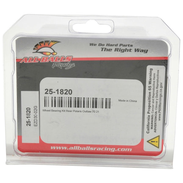 WHEEL BEARING KIT RR POL ALLBALLS