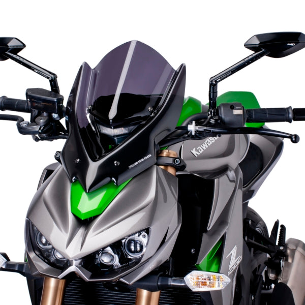 WINDSHIELD NAKED NG TOURING DSMK KAWA