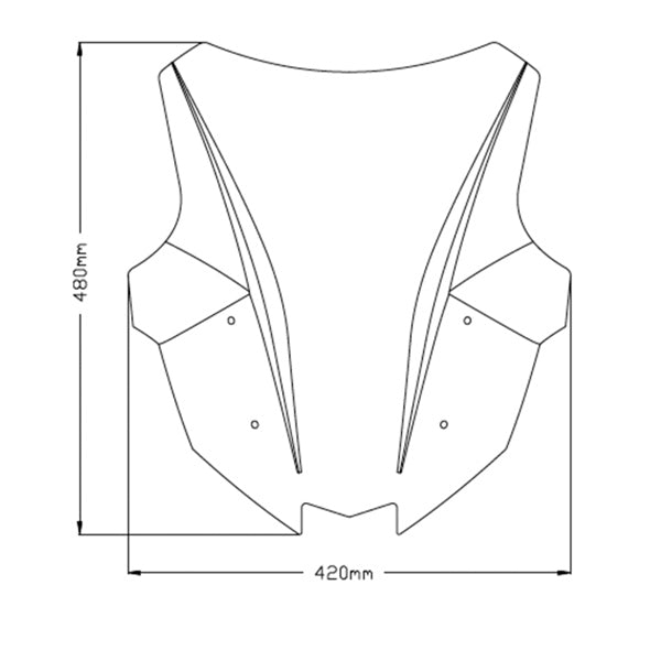 WINDSHIELD Z-RACING DSMK KAWA PUIG