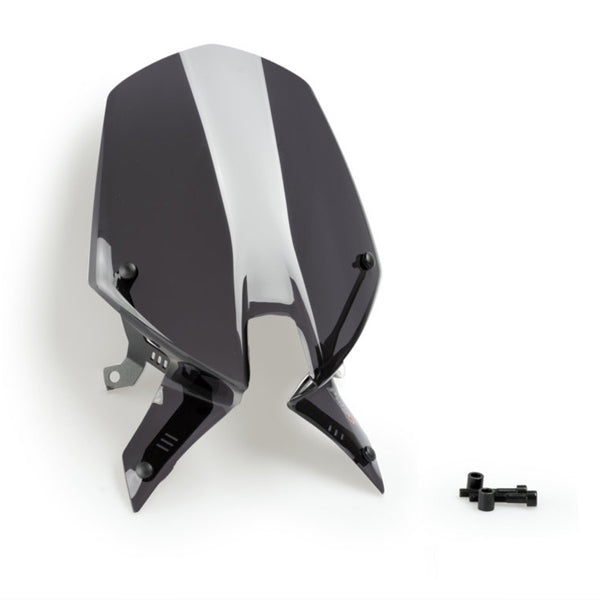 WINDSHIELD NG SPORT DSMK DUCATI PUIG