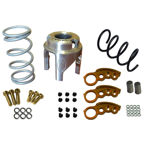 CLUTCH KIT W/ADJ WEIGHT P-DRIVE