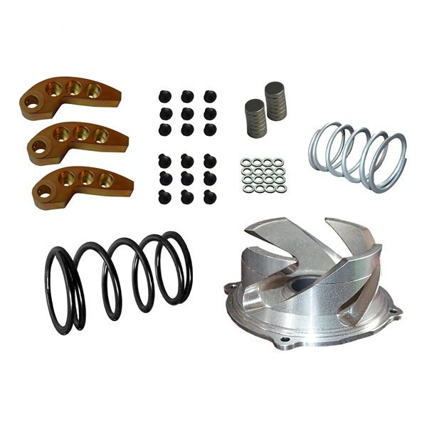 CLUTCH KIT W/ ADJ WEIGHT POL