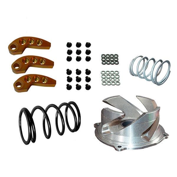 CLUTCH KIT W/ADJ WEIGHT POL