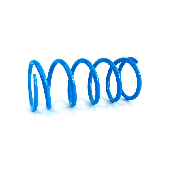 CLUTCH SPRING PRIM C-AM EPI