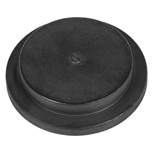 CALIBRATION WEIGHT PWB 80 CVTECH