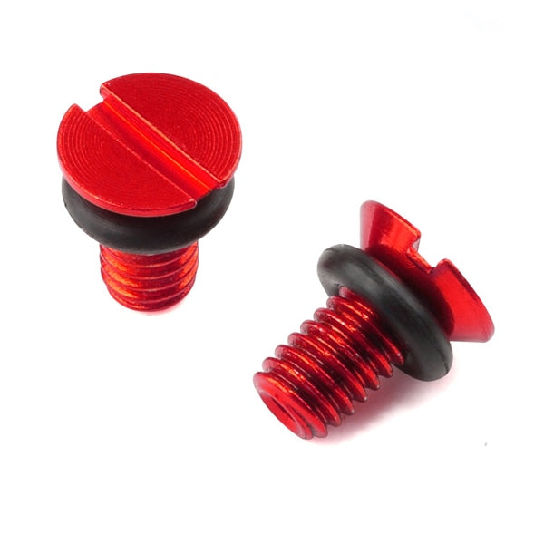 SCREW AIR VALVE CAP RD QTY2 DRCZETA