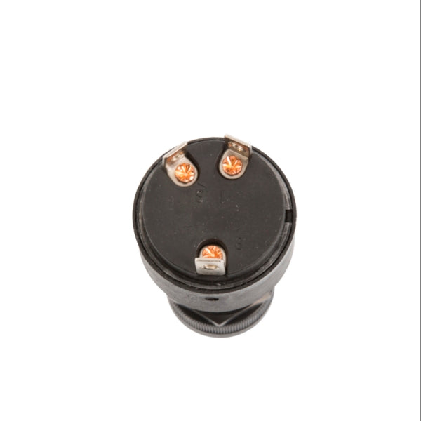 POLY 3-POSITION KEY SWITCH W/CAP-LONG