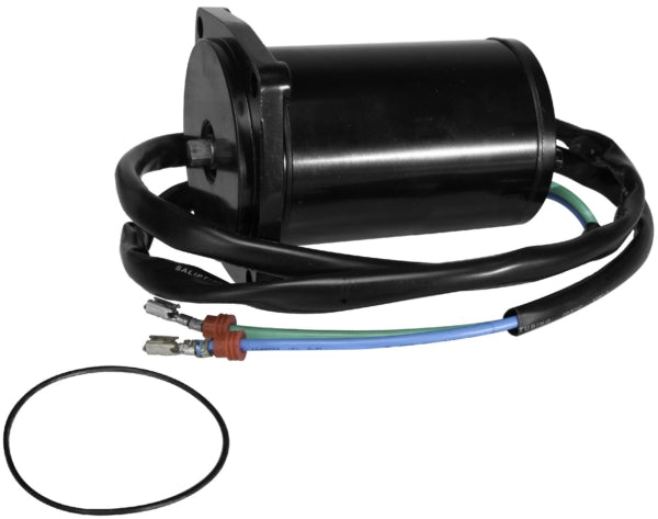 JOHNSON/EVINRUDETRIM MOTOR