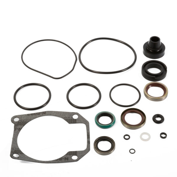 LOWER UNIT GASKET KIT