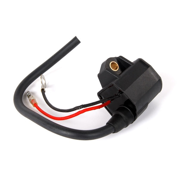 IGNITION COIL SIERRA