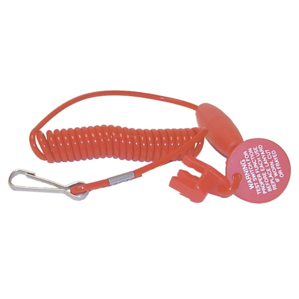 LANYARD