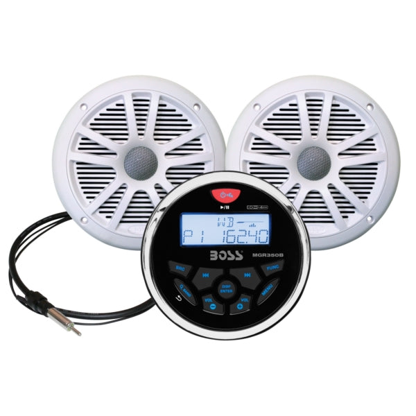 RECEIVER W/SPEAKERS WH KIT
