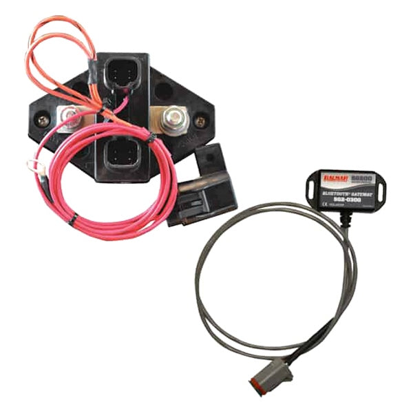 BATT MONITOR 12V-48V W/GATEWAY CDI