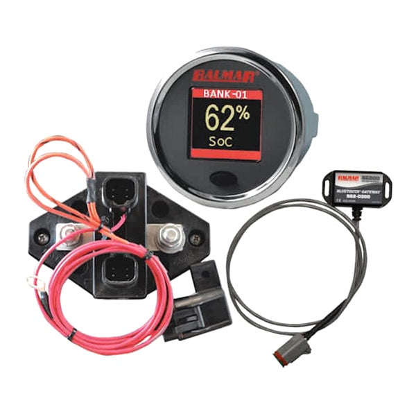 BATT MONITOR 12V-48V W/GATEWAY W/DISPLAY