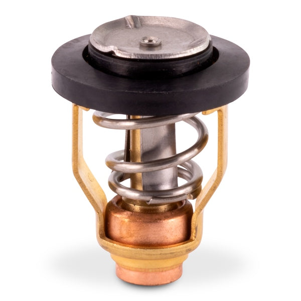 THERMOSTAT SIERRA