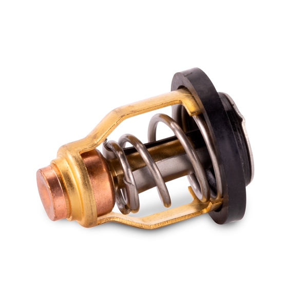 THERMOSTAT SIERRA