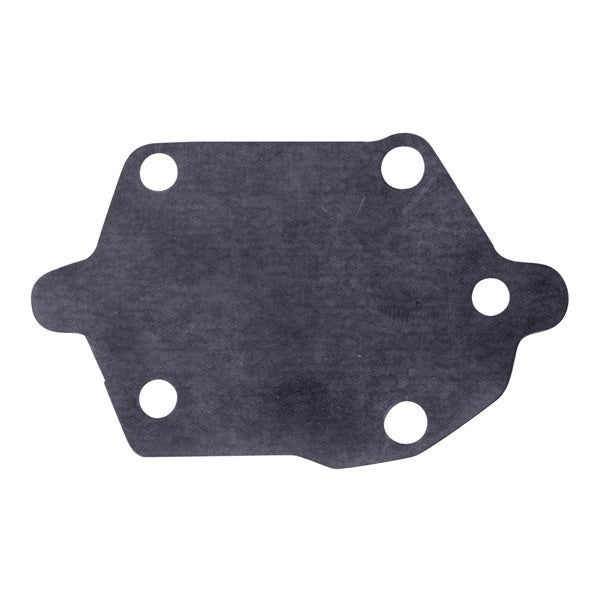FUEL PUMP DIAPHRAGM