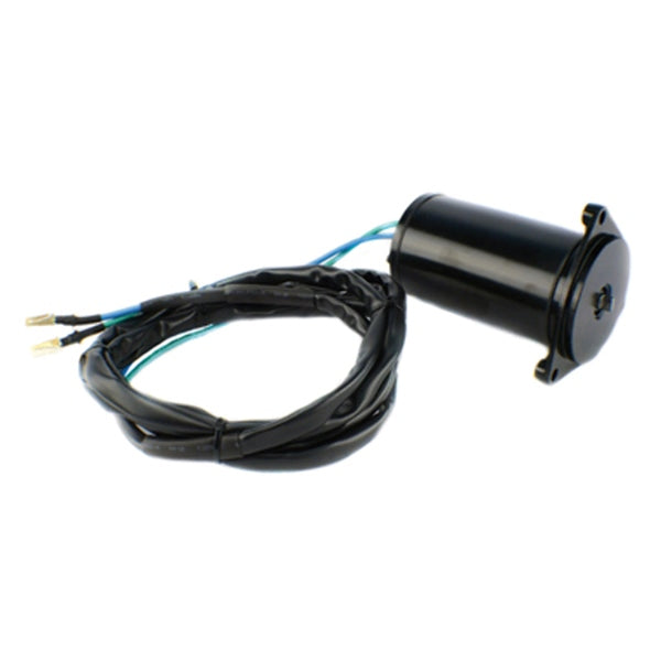TILT/TRIM MOTOR 12V BI ROT OMC