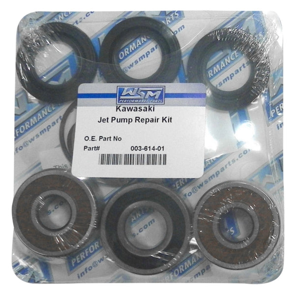 JET PUMP REPAIR KIT KAWA 1500