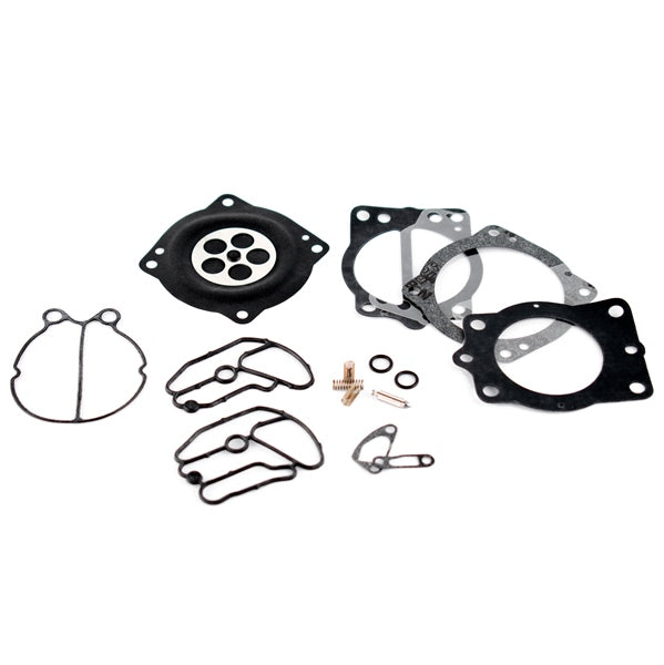 CARBURETOR REPAIR KIT KAWA 550-1100