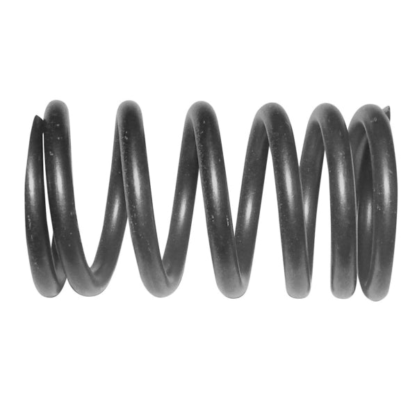 VALVE SPRING EXT SEADOO 1503