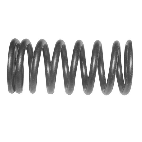 VALVE SPRING INT SEADOO 1503