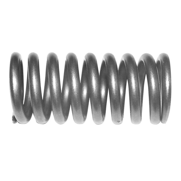 VALVE SPRING YAM 1000