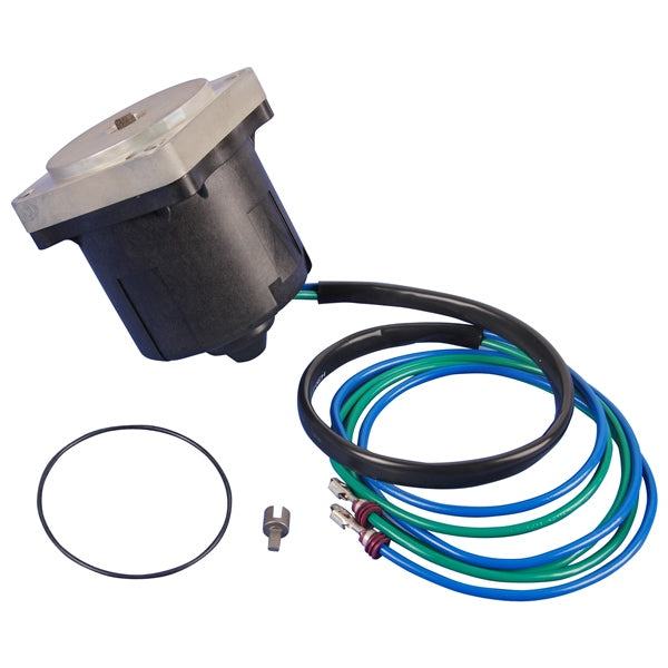 MOTOR/O-RING AY