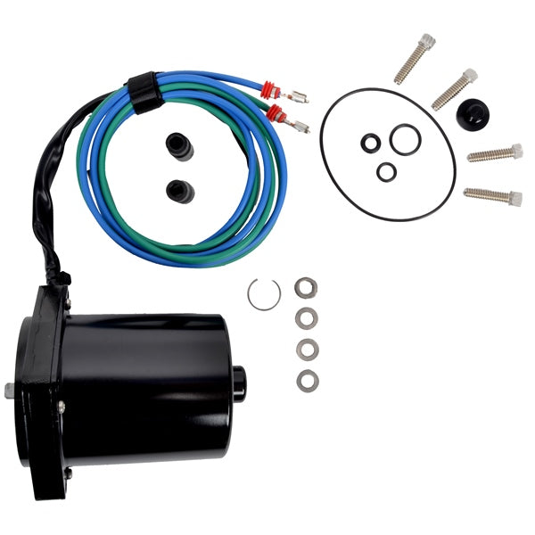 MOTOR/O-RING ASSEMBLY