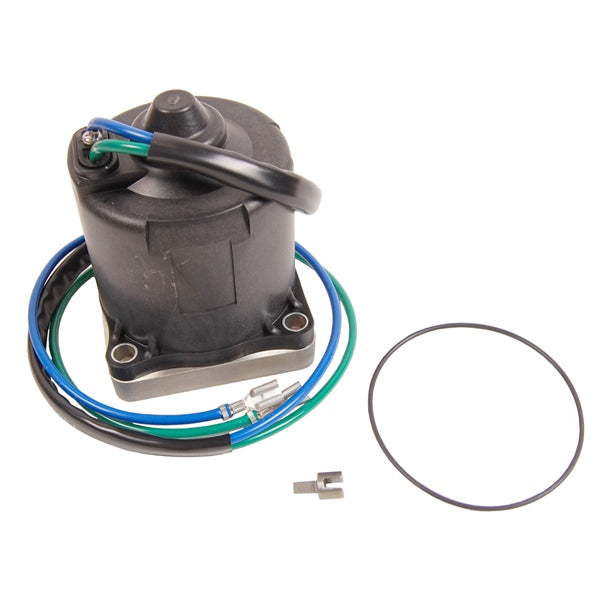 MOTOR/O-RING AY