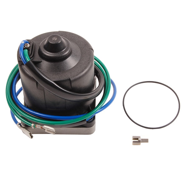 MOTOR/O-RING AY