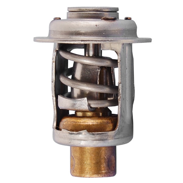 THERMOSTAT AY