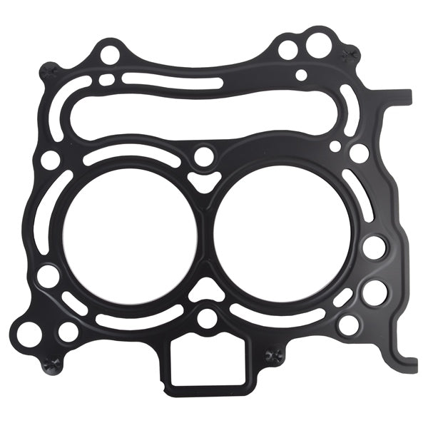 HD GASKET 9.9&15