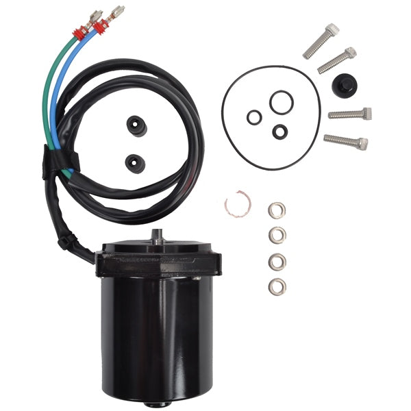 MOTOR/O-RING AY
