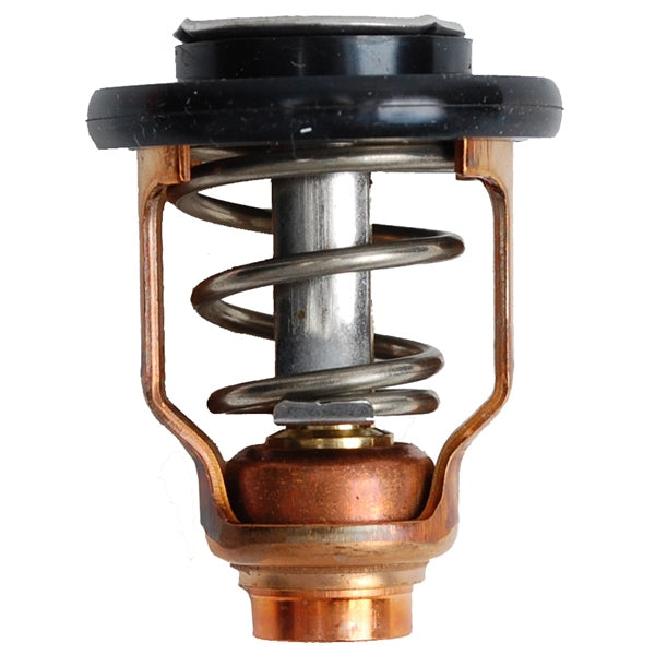 THERMOSTAT (C 71)