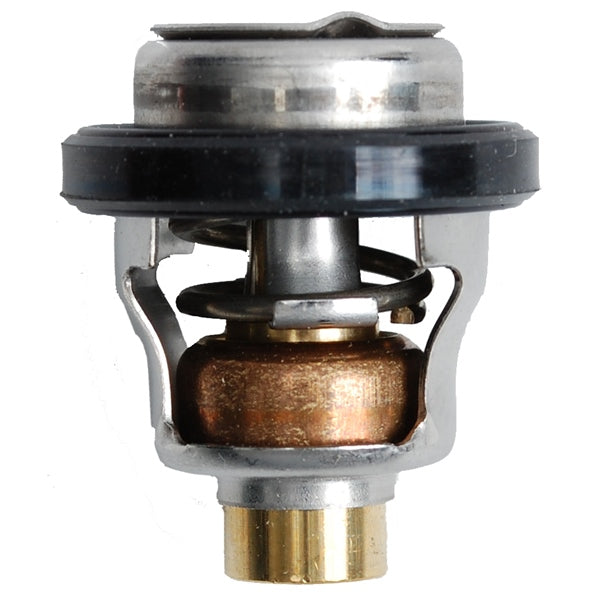 THERMOSTAT 50DEG