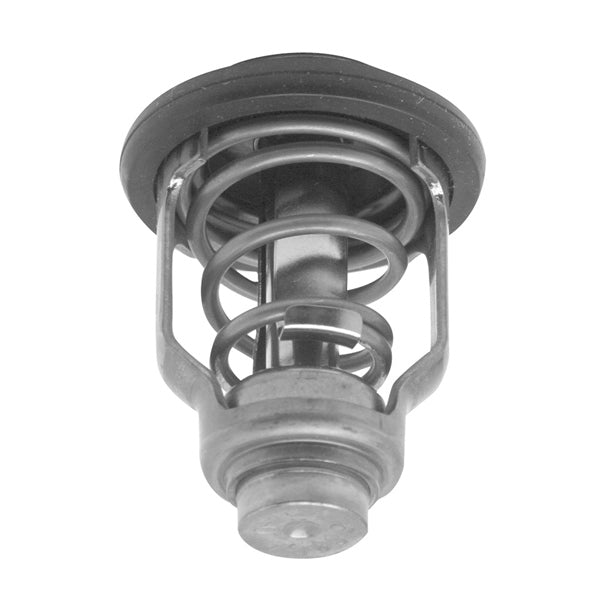 THERMOSTAT 60DEG C